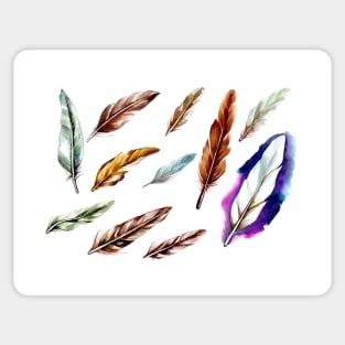 Feather Set Watercolor Sticker